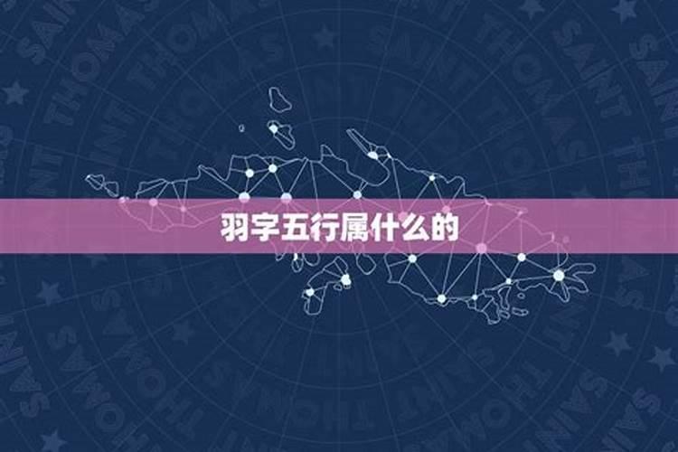 羽字五行属什么,有什么意思