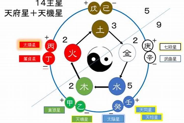 星字五行属于什么