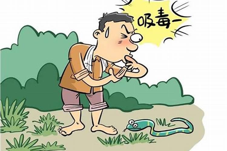 离婚男人梦见蛇咬