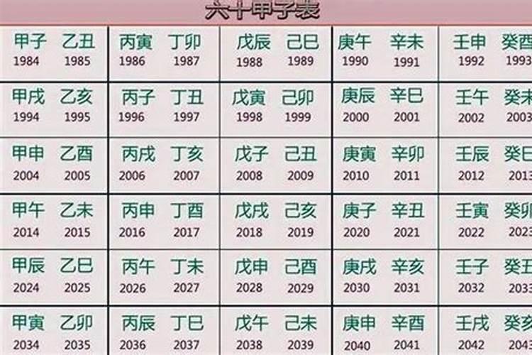 辛字是什么生肖