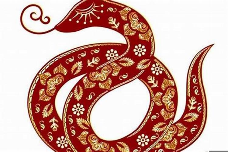 属蛇人的五行属性是什么属性