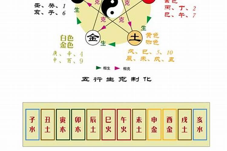 数字五行属什么行