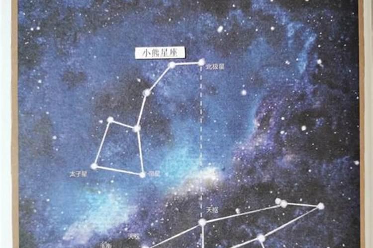 大熊星座属于什么星座