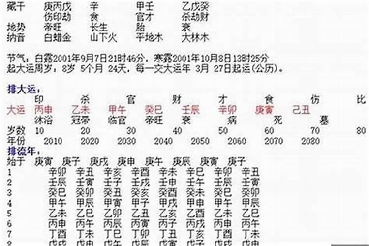 属马的人和属猪的人八字合不合财