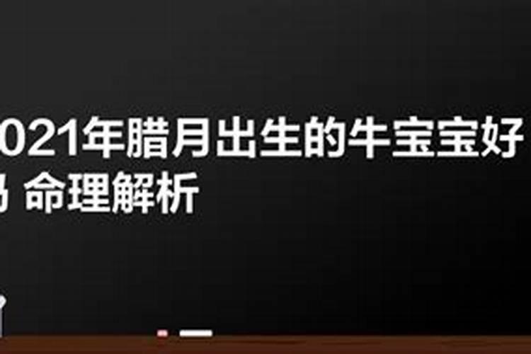 属羊人2023年冲太岁怎样破