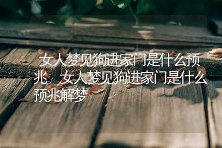 梦见不认识的女人进我家