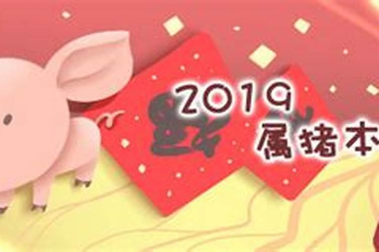 龙今年的运势如何2023可信吗