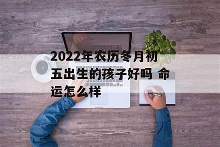 2022属猪破太岁怎么化解