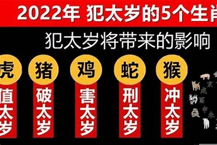 属马2022年犯太岁吗?