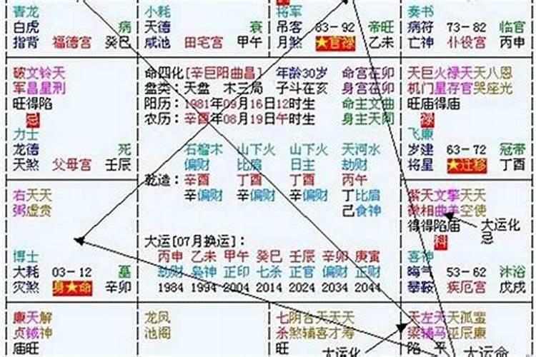 属马2021年运势及运程详解属虎