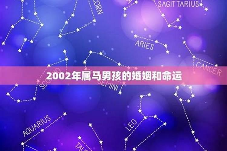 2002年出生的男孩属马的在2020