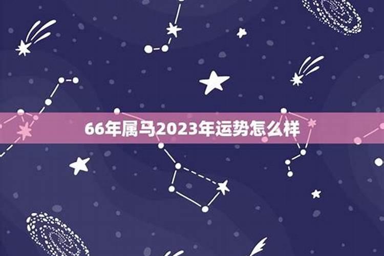 66年属马人2023年运势及运程每月运程如何