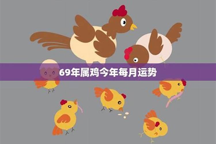 69年属鸡的人今年运势如何