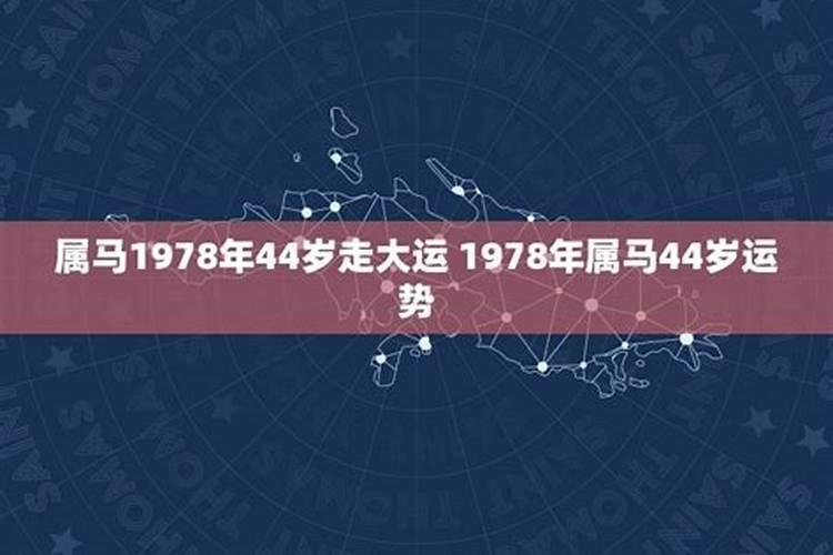 1978年属马46岁运势