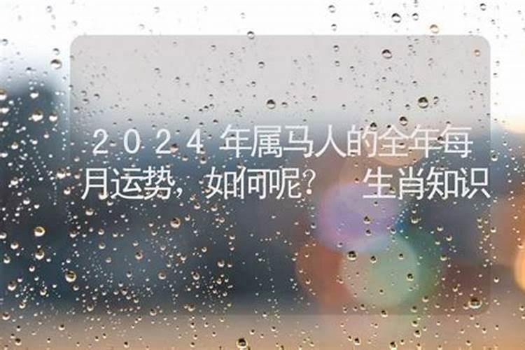 2024年属马人的命运怎么样