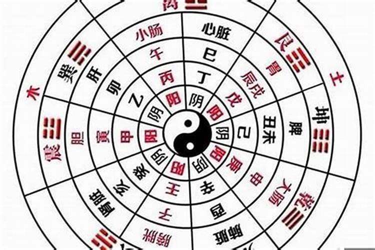 怎么知道自己的八字是阴还是阳