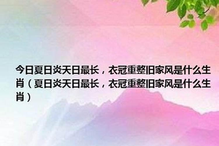 火热夏天大阳红是什么生肖