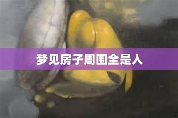 梦见房子全是土块