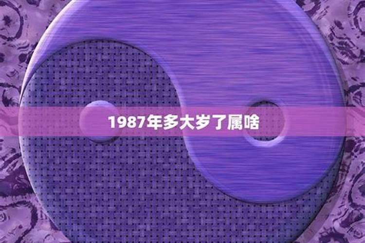 1987年属什么今年多大了男的