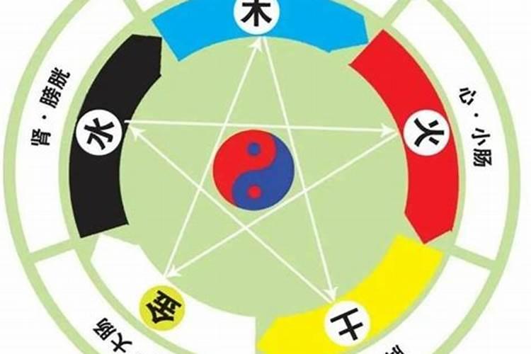 五行属什么的人漂亮