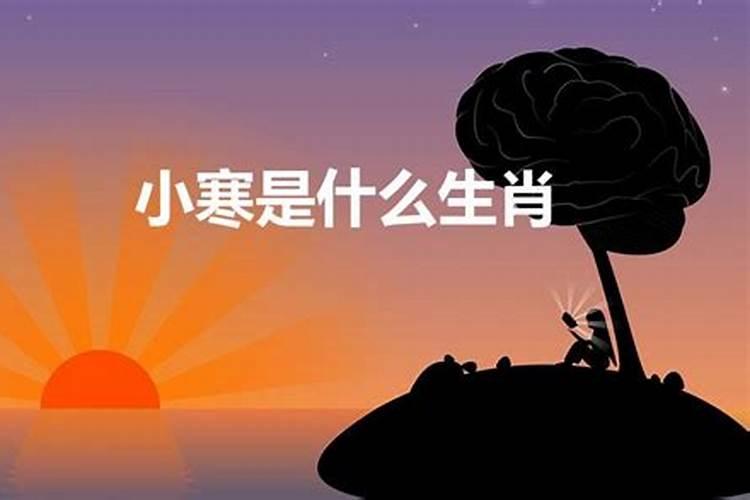 三八今期报喜来是指什么生肖动物