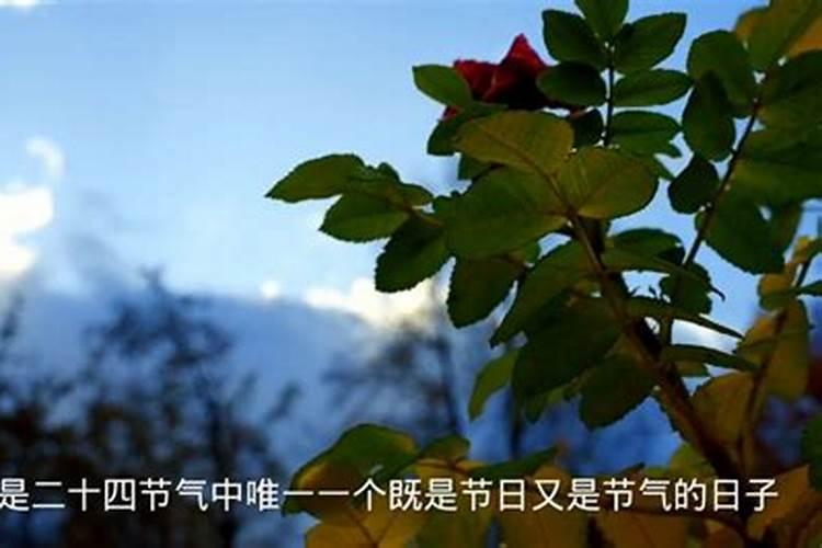 清明节阳历