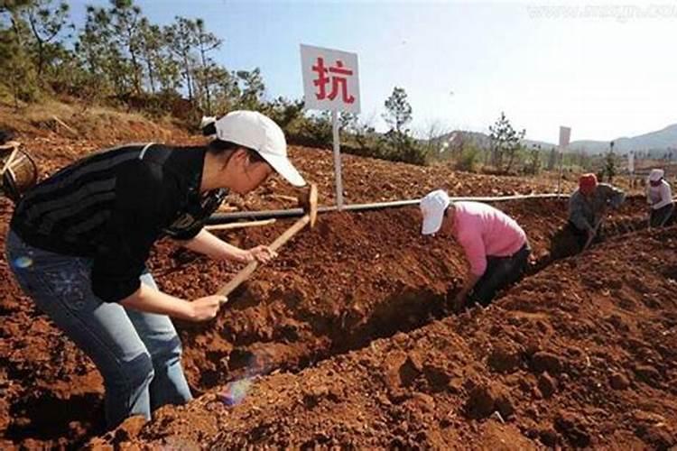 犯太岁锦囊里面放的什么钱