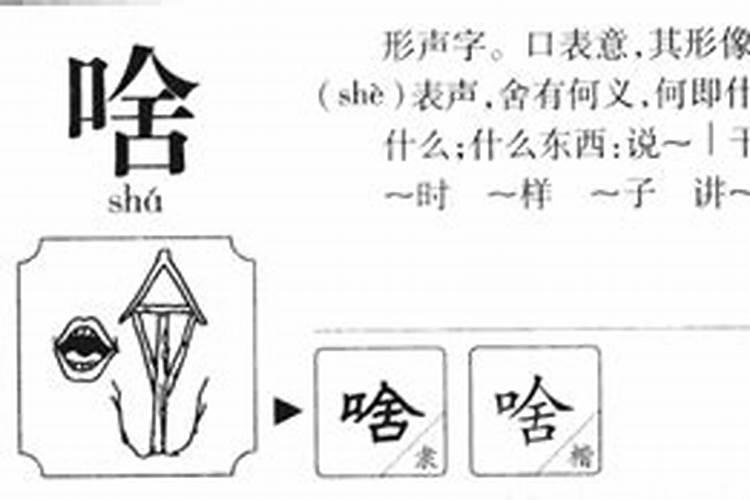 影字属于五行属什么的