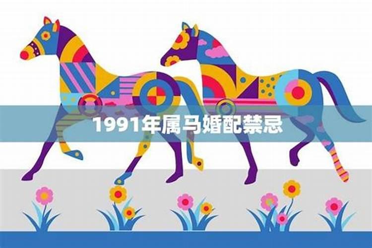 1991年属猴的婚配