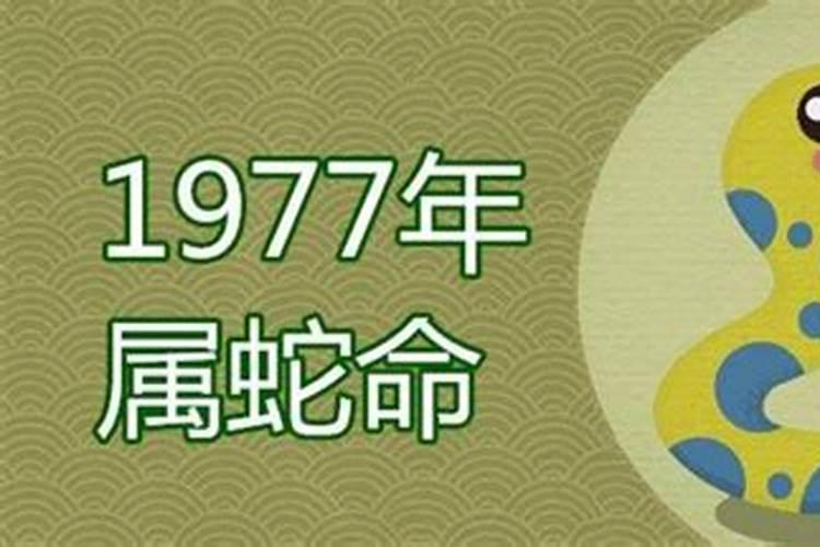 1977年出生的人属什么命