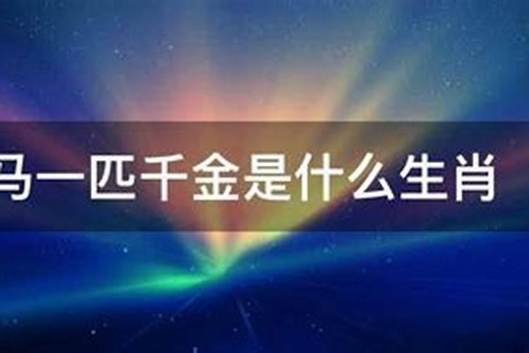 千金指什么生肖和意思