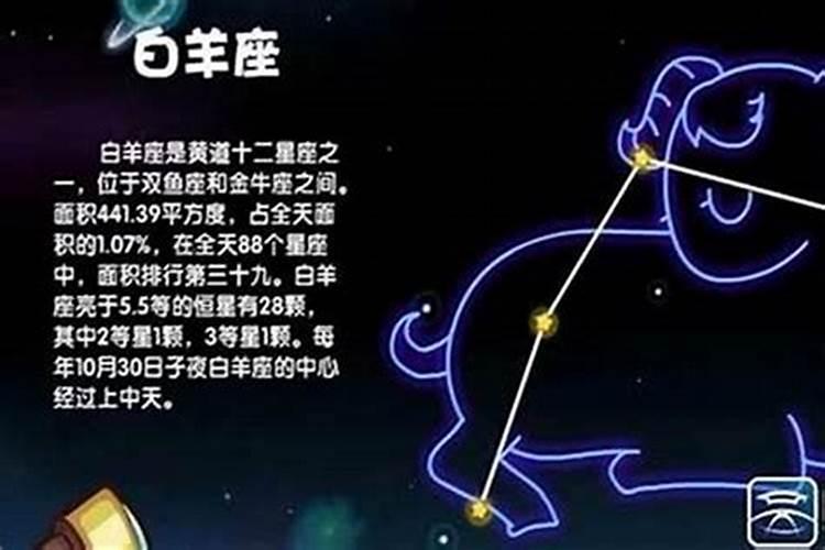 11.26日是什么星座呀