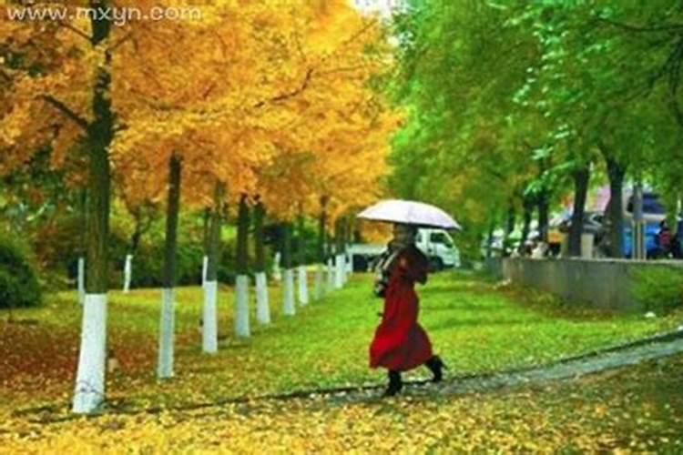 女人梦见下雨预示什么