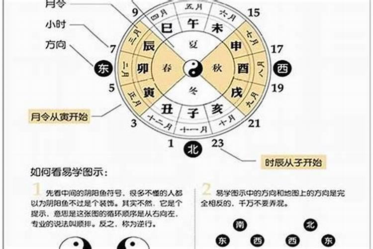 生肖属龙的吉祥物是什么