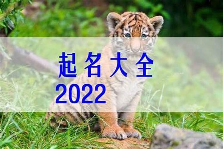 2022年二月属虎