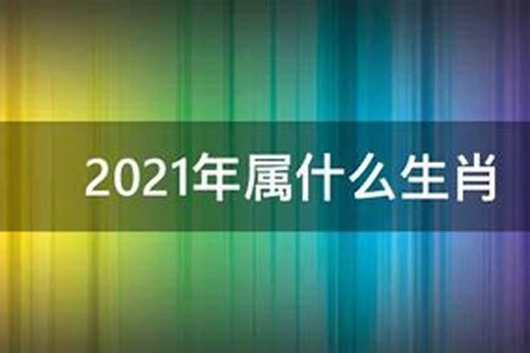 农历2021年的生肖是什么