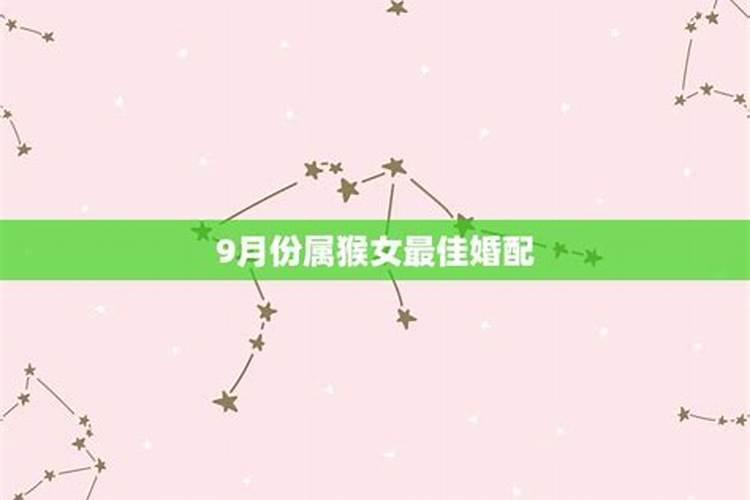 今年23岁属什么的