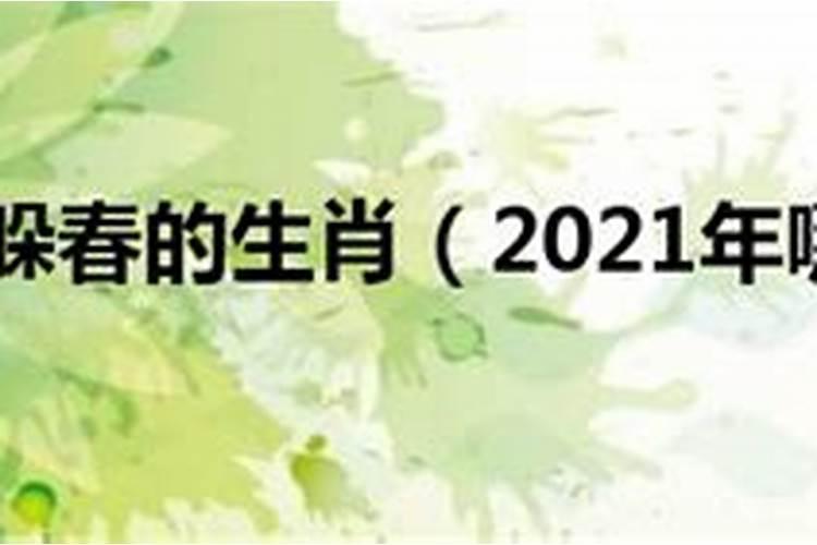 2023属什么的要躲春