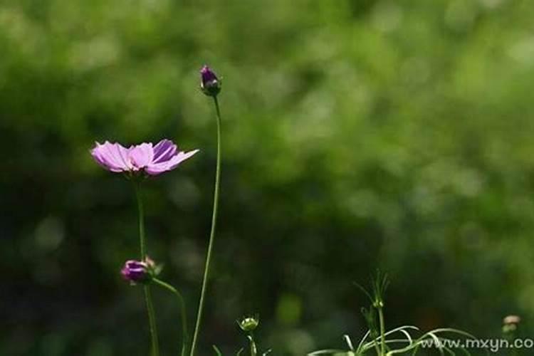 今年农历腊月29日