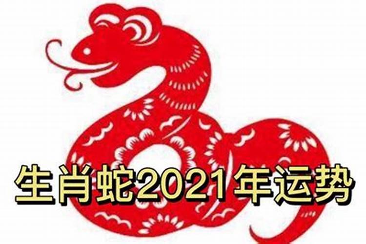 2022年2月1日属什么生肖属蛇可以出门吗