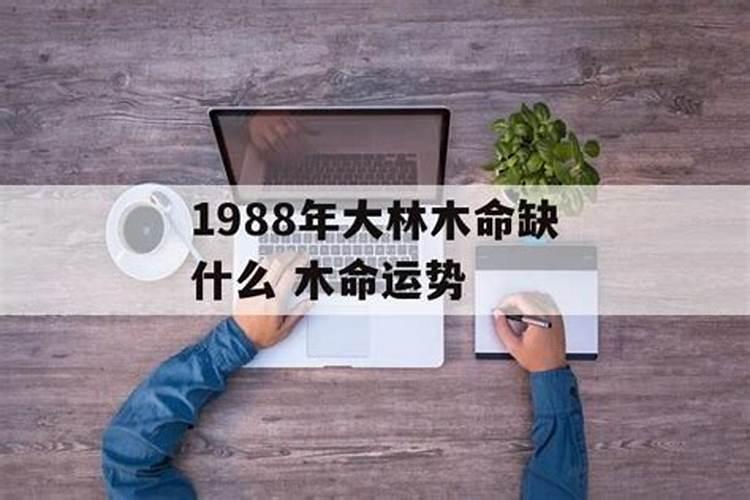 1988年大林木命五行缺什么怎么做