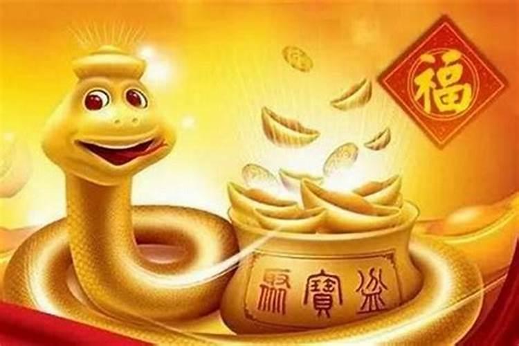 属蛇的今年为什么这么倒霉