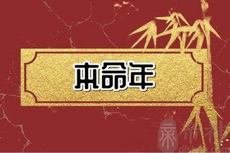 夏肖是哪几个生肖2022