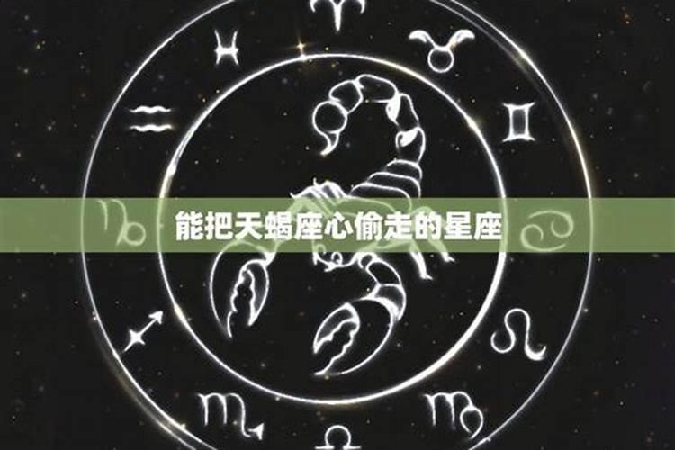 让天蝎死心塌地的星座