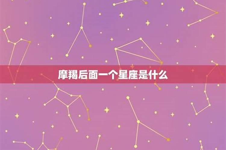 摩羯座的后面是什么星座啊