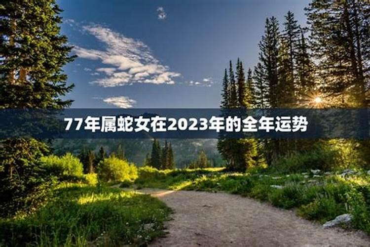 2023年属蛇女下半年运势，2023年蛇女的财运好吗