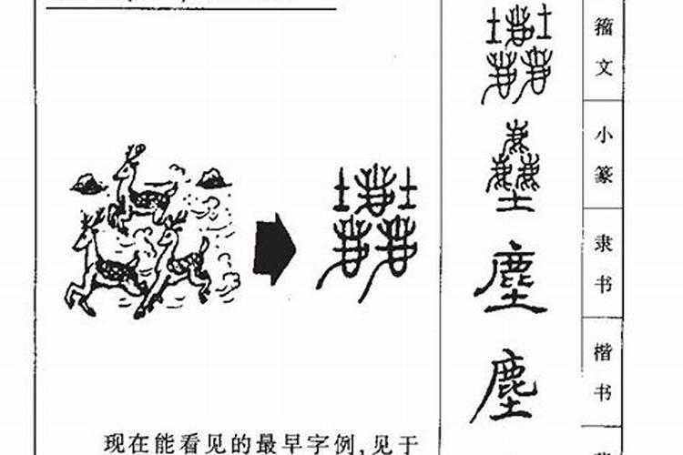 尘字五行属什么寓意和象征