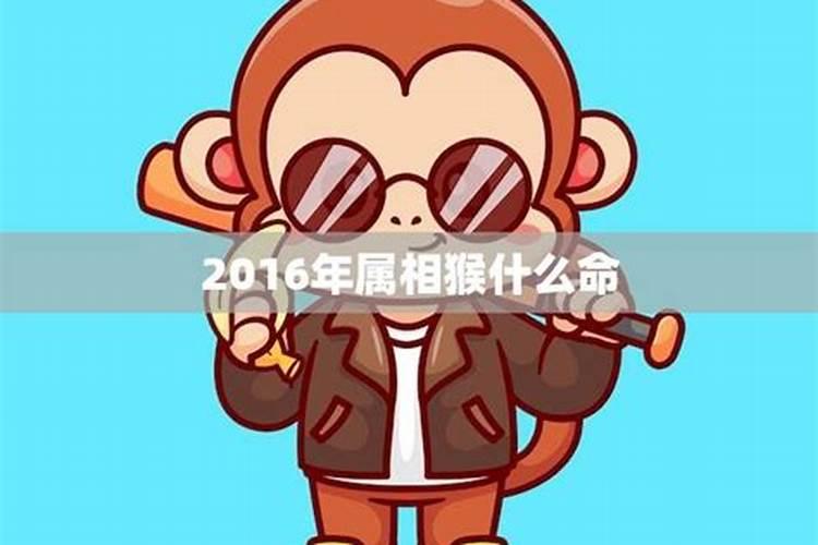 2016年属猴属于什么命