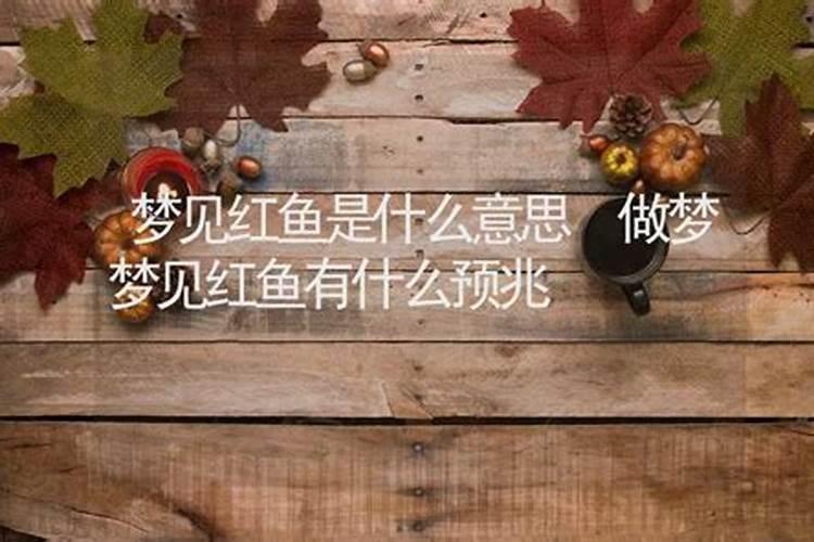 梦见吃红鱼是怎么回事