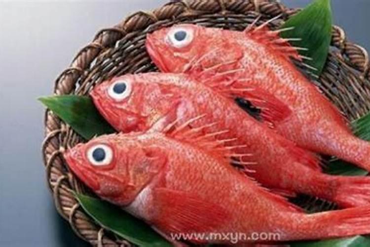 梦见红鱼是什么征兆